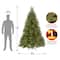 7.5 Ft. Unlit Feel Real® Downswept Douglas Fir Full Artificial Christmas Tree